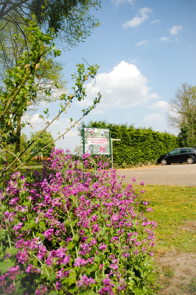 Bed & Breakfast De Kreitsberg Duifhuis ภายนอก รูปภาพ